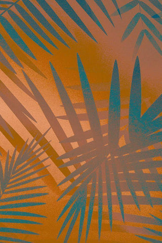 Palm Heat II  White Modern Wood Framed Art Print with Double Matting by Stelfox, Norm