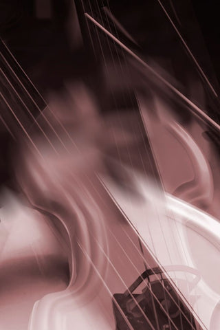 Guitar Vibrations  Black Ornate Wood Framed Art Print with Double Matting by Stelfox, Norm