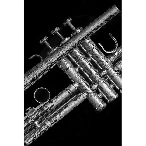 Silver Trumpet  White Modern Wood Framed Art Print by Stelfox, Norm