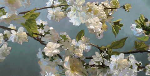 Blue Blossoms Black Ornate Wood Framed Art Print with Double Matting by Novak, Rick