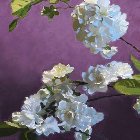 Blossom I Black Ornate Wood Framed Art Print with Double Matting by Novak Novak