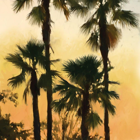 Morning Palm Tree I White Modern Wood Framed Art Print by Novak, Rick