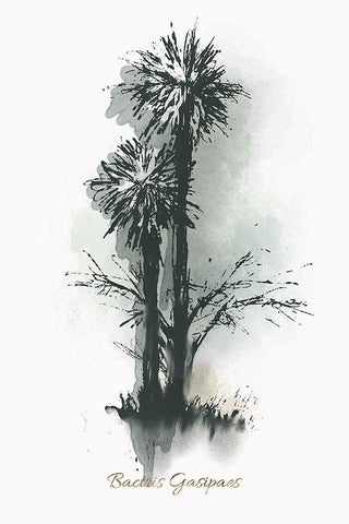 Everglades III Black Ornate Wood Framed Art Print with Double Matting by Rick Novak