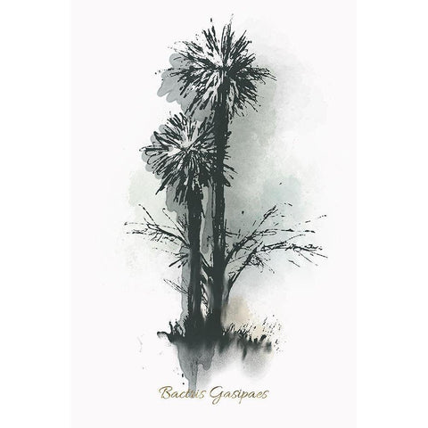 Everglades III Black Modern Wood Framed Art Print by Rick Novak