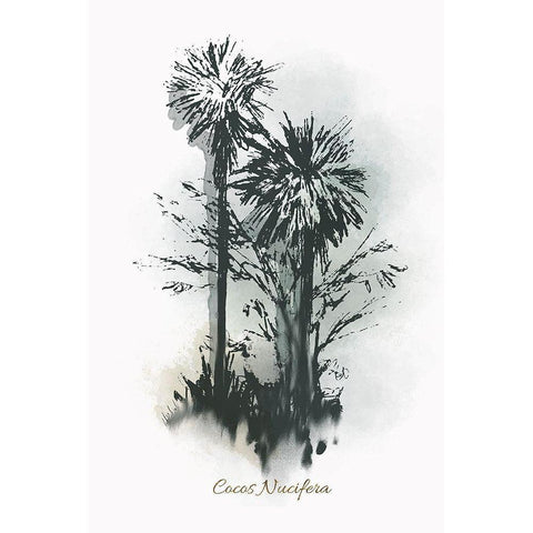 Everglades IV White Modern Wood Framed Art Print by Rick Novak