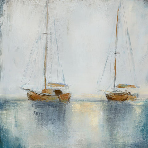Blue Sailing II Black Ornate Wood Framed Art Print with Double Matting by Novak, Rick
