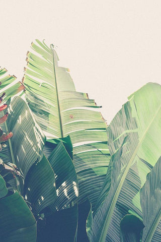 Clear Skies Blush VersionÂ  White Modern Wood Framed Art Print with Double Matting by Orlov, Irena