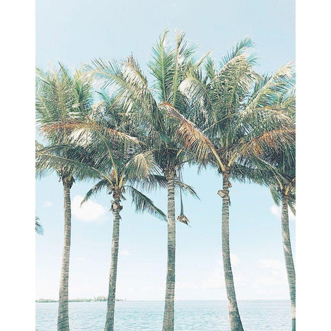 Island of Palms  Black Modern Wood Framed Art Print by Joy, Olivia