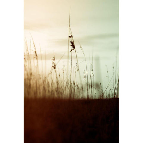 Quiet Dusk II Black Modern Wood Framed Art Print by Joy, Olivia