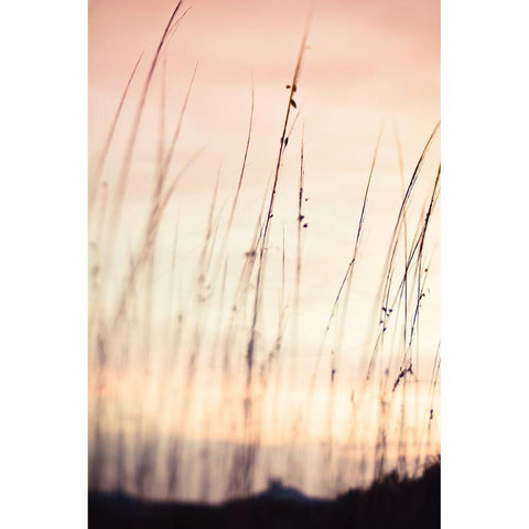 Morning Meadow  Black Modern Wood Framed Art Print with Double Matting by Joy, Olivia