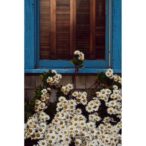 Reaching High Gold Ornate Wood Framed Art Print with Double Matting by Joy, Olivia