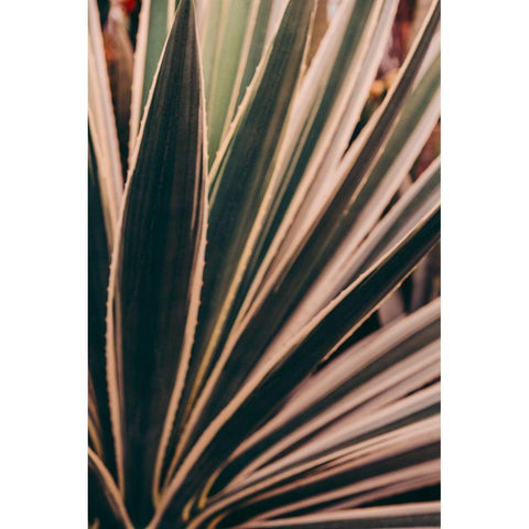 Beaming Through White Modern Wood Framed Art Print by Joy, Olivia