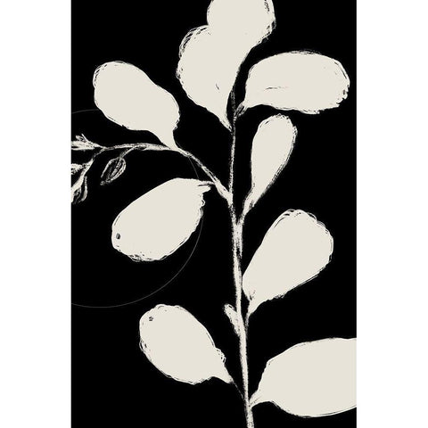 Botanical Silhoette II  Black Modern Wood Framed Art Print by Holman, Nicholas