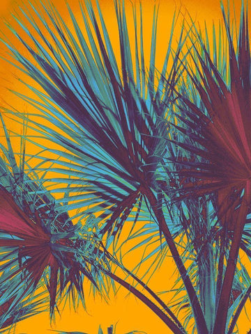 Palms Shadows White Modern Wood Framed Art Print with Double Matting by Orlov, Irena