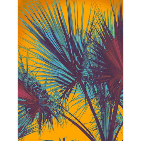 Palms Shadows Black Modern Wood Framed Art Print by Orlov, Irena