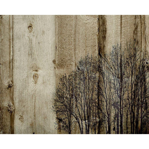 Three Barns Black Modern Wood Framed Art Print with Double Matting by Kirshner, Dmitry