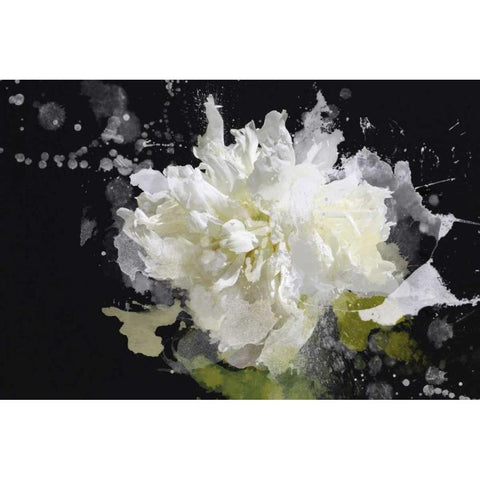Blow Away on the Wind I Gold Ornate Wood Framed Art Print with Double Matting by Orlov, Irena