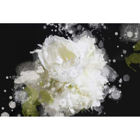Blow Away on the Wind II Black Modern Wood Framed Art Print by Orlov, Irena