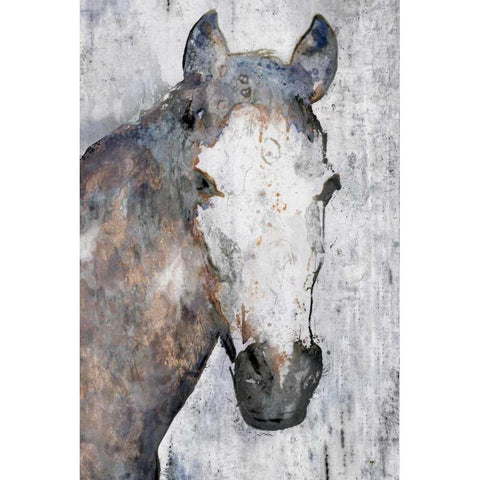 Horse Portrait I Black Modern Wood Framed Art Print with Double Matting by Orlov, Irena