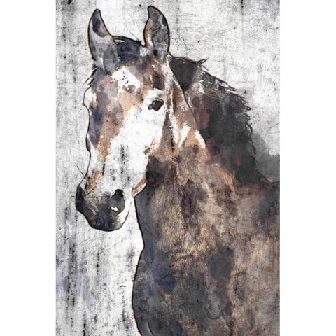 Horse Portrait II Black Modern Wood Framed Art Print with Double Matting by Orlov, Irena