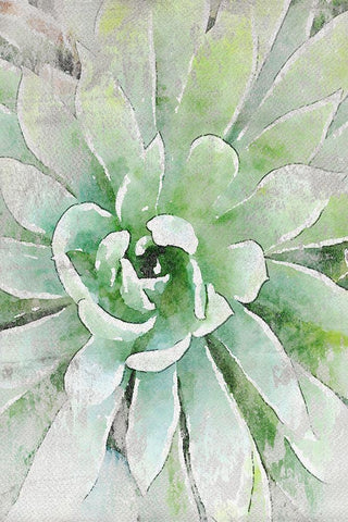 Rustic Succulent I  White Modern Wood Framed Art Print with Double Matting by Orlov, Irena