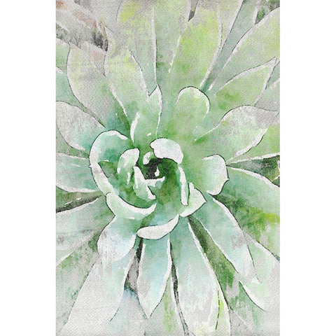 Rustic Succulent I  Black Modern Wood Framed Art Print by Orlov, Irena