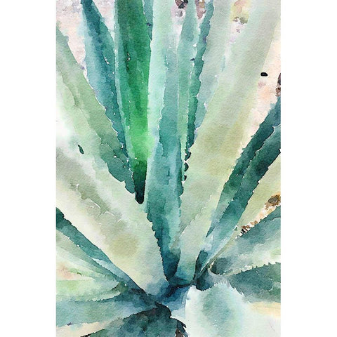 Rustic Succulent II Black Modern Wood Framed Art Print by Orlov, Irena