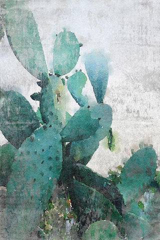 Rustic Cactus White Modern Wood Framed Art Print with Double Matting by Orlov, Irena