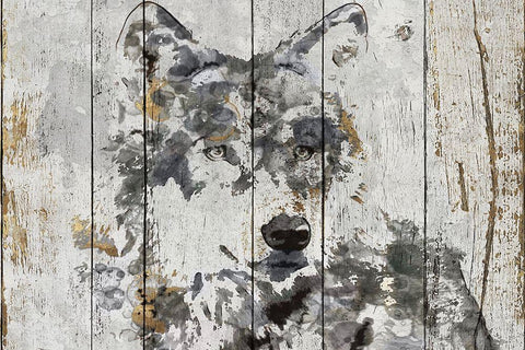 Wolf Gaze  Black Ornate Wood Framed Art Print with Double Matting by Orlov, Irena