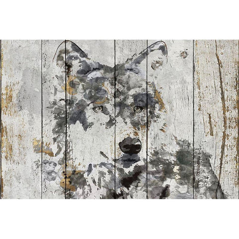 Wolf Gaze  Gold Ornate Wood Framed Art Print with Double Matting by Orlov, Irena