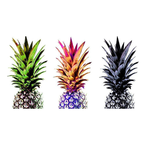 Colourful Pinapples II  Black Modern Wood Framed Art Print with Double Matting by Orlov, Irena