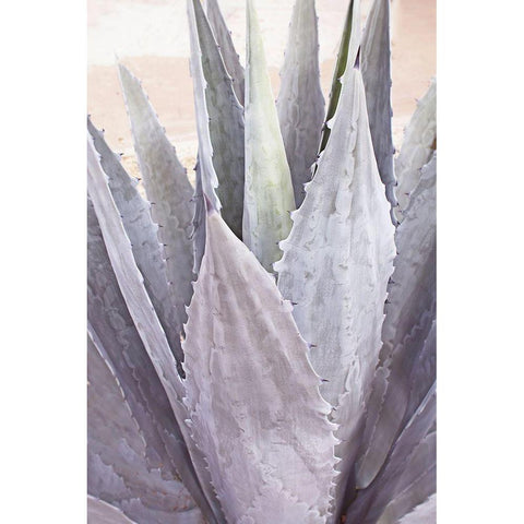 Plant Symphony White Modern Wood Framed Art Print by Orlov, Irena