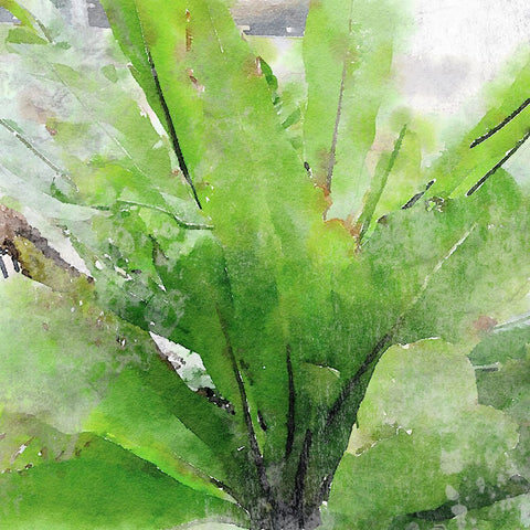 Rustic Green Embrace I  Black Modern Wood Framed Art Print by Orlov, Irena