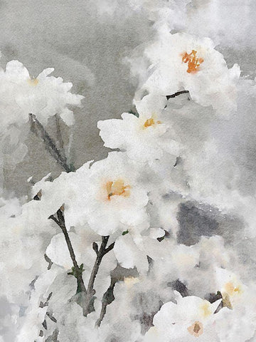 Dreamy Flower Black Ornate Wood Framed Art Print with Double Matting by Orlov, Irena