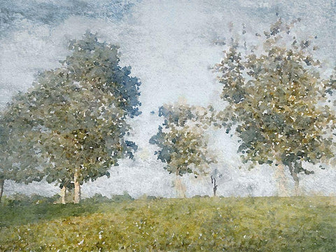 Forest Landscape I White Modern Wood Framed Art Print with Double Matting by Orlov, Irena