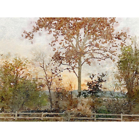 Quiet place I Black Modern Wood Framed Art Print by Orlov, Irena