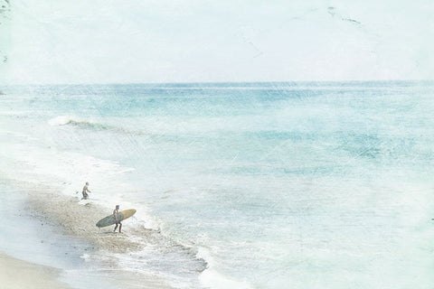 Blue Surfing  Black Ornate Wood Framed Art Print with Double Matting by Orlov, Irena