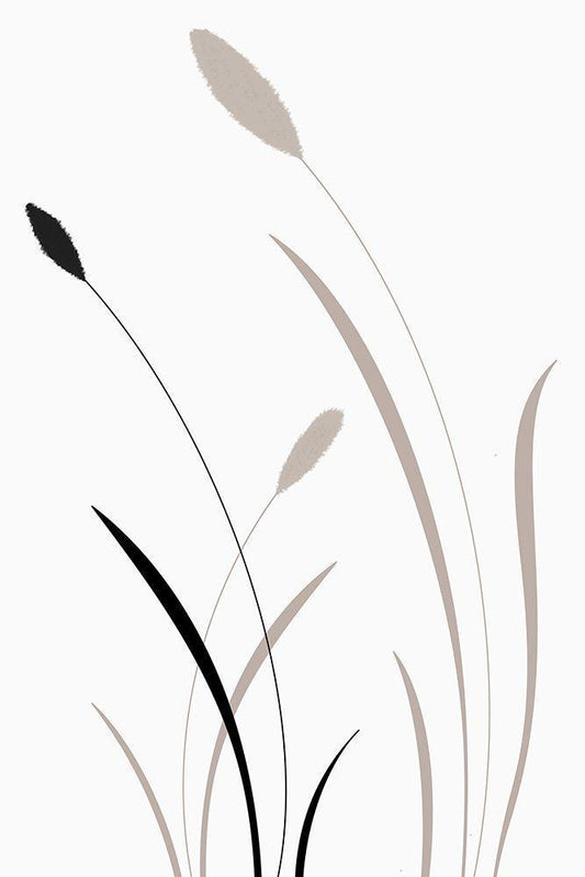 Image Only
