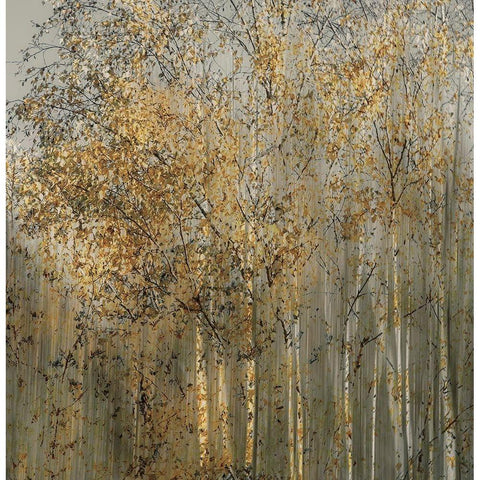 Birch Impression Gold Ornate Wood Framed Art Print with Double Matting by Talen