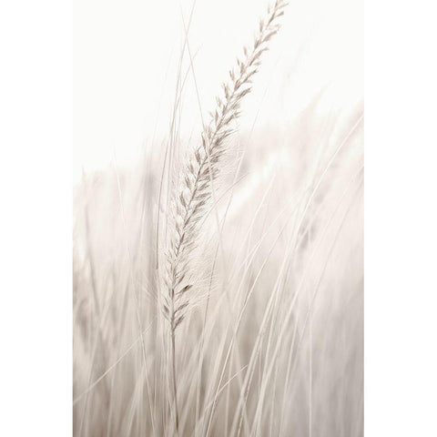 Grass Black Modern Wood Framed Art Print with Double Matting by Studio III