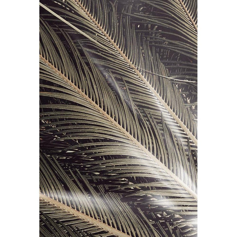 Studio III - Palmblad 002 Black Modern Wood Framed Art Print with Double Matting by Studio III