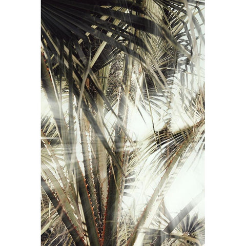 Studio III - Palmblad 003 Gold Ornate Wood Framed Art Print with Double Matting by Studio III