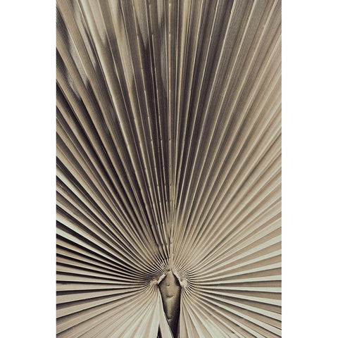 Studio III - Palmblad 001 Black Modern Wood Framed Art Print with Double Matting by Studio III