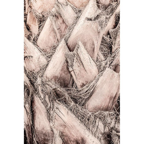 Studio III - Solaris 07 Black Modern Wood Framed Art Print with Double Matting by Studio III