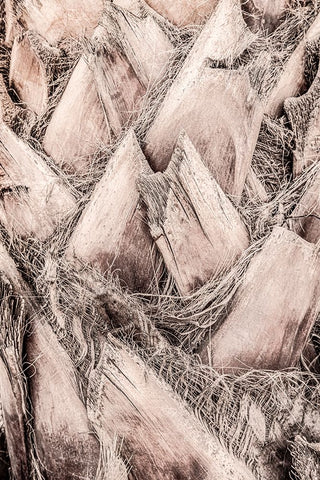 Studio III - Solaris 07 White Modern Wood Framed Art Print with Double Matting by Studio III