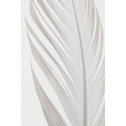 Studio III - Feather 006 White Modern Wood Framed Art Print by Studio III