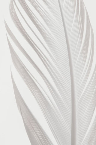 Studio III - Feather 006 White Modern Wood Framed Art Print with Double Matting by Studio III