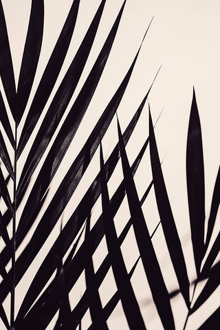 Studio II - Leaves in Vase Gold White Modern Wood Framed Art Print with Double Matting by Studio II