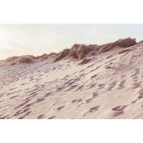 Studio III - Beach 008 Gold Ornate Wood Framed Art Print with Double Matting by Studio III