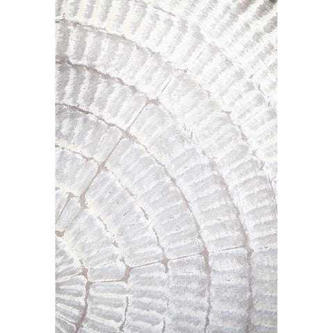 Studio III - Pattern Plate I  Black Modern Wood Framed Art Print by Studio III